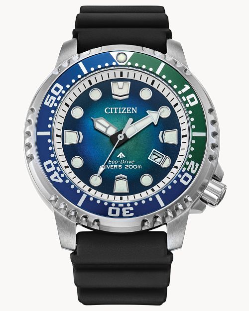 Promaster Dive